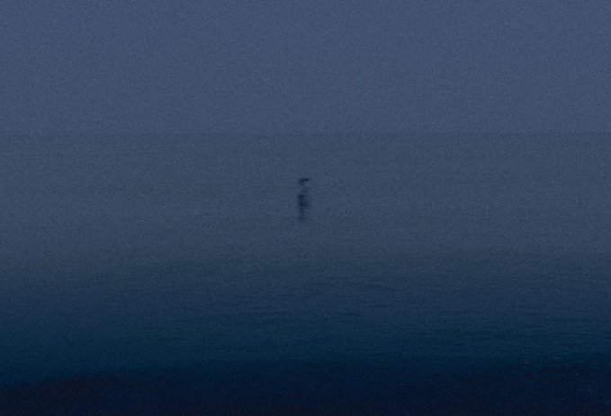 A grainy, dark blue photograph showing a mysterious, distant figure standing in a vast, empty expanse of water or fog.