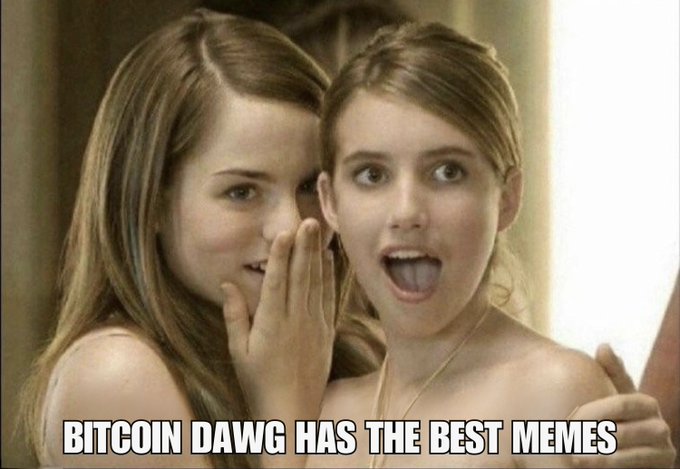 Two young women share a shocked, gossiping expression in a meme captioned 'BITCOIN DAWG HAS THE BEST MEMES'.