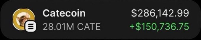An image showing a Catecoin ($CATE) portfolio holding worth $286,142.99, with a total gain of $150,736.75 on 28.01M CATE tokens. The post promotes a promised "airdrop" while soliciting likes, retweets, and wallet information — a classic setup consistent with the suspicious nature of the displayed high-value, high-gain crypto holding.