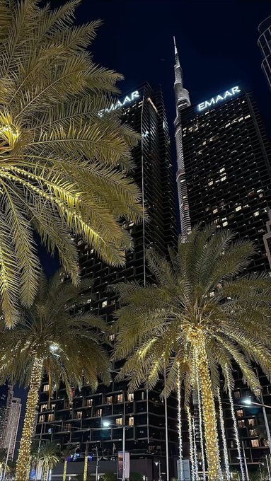 A nighttime photograph of illuminated palm trees in the foreground with tall skyscrapers lit up behind them, including the Address Sky View tower and a building marked 'EMAAR.'
