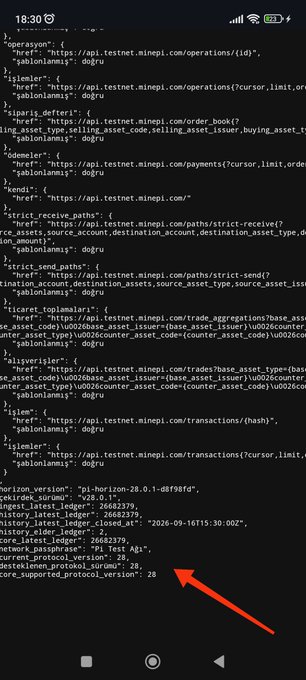 The image shows a mobile screen displaying JSON data from the Pi testnet, with a red arrow pointing to a highlighted section indicating "core_supported_protocol_version": 28. This visually confirms the post's claim that the Pi testnet has upgraded to protocol 28, matching the recent Stellar mainnet upgrade.