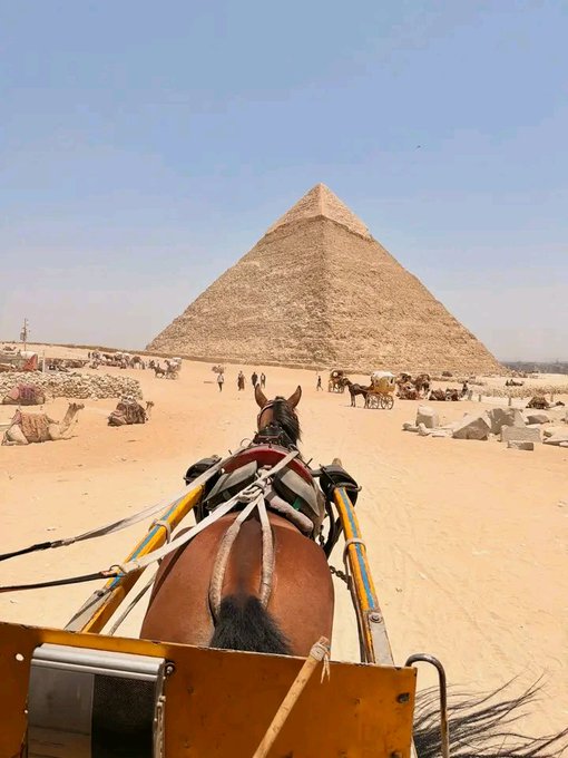 A first-person view from a horse-drawn carriage approaching the Great Pyramid of Giza in Egypt on a sunny day, with other horses and tourists visible on the sandy plateau.