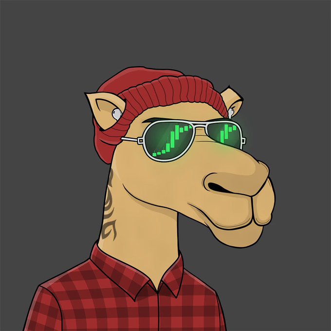 A cartoon illustration of a camel character wearing a red beanie and red plaid shirt, with green sunglasses reflecting stock chart candlesticks.