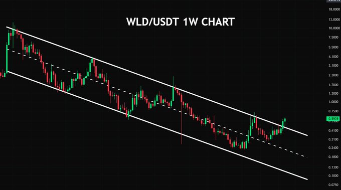 A weekly candlestick chart of WLD/USDT showing a descending channel pattern with the current price highlighted at 0.5278, illustrating the downtrend context relevant to the post's speculation about WLD's price trajectory in the coming year.