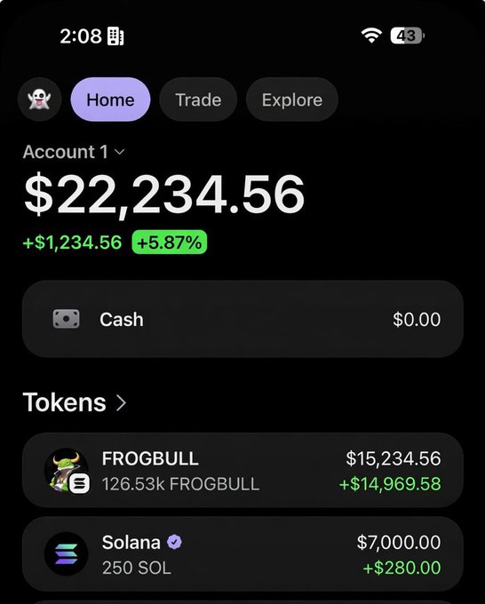 A cryptocurrency portfolio screenshot showing Account 1 with a total balance of $22,234.56 (up +$1,234.56 or +5.87%), displaying holdings of 126.53k FROGBULL tokens ($15,234.56, +$14,969.58) and 250 SOL ($7,000.00, +$280.00), which serves as visual proof of a profitable wallet to entice viewers to check for the claimed airdrop.