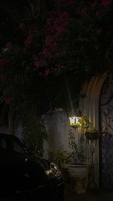 A nighttime scene of a house exterior with a wrought iron gate, a glowing lantern, potted plants, and a car parked nearby, framed by a cascading bougainvillea with pink flowers.