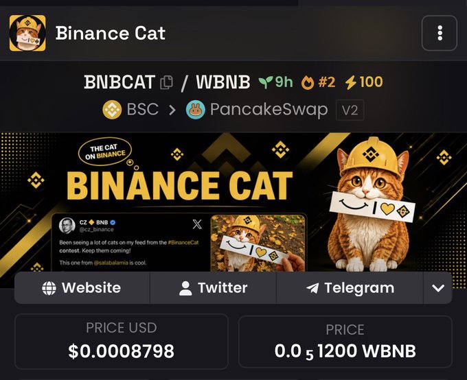 The image shows a cryptocurrency listing page for "Binance Cat" (ticker: BNBCAT/WBNB) on PancakeSwap V2 via BSC, priced at $0.0008798 or 0.01200 WBNB, featuring a branded orange tabby cat mascot in a Binance-themed hat. This corresponds to the accompanying post identifying Binance Cat at contract address 0x3efbfff95576e1d23cf6ead0acd2e73f4d6a7777, with the page displaying a tweet from CZ (@cz_binance) referencing "slablabinma" as the associated figure behind the token.