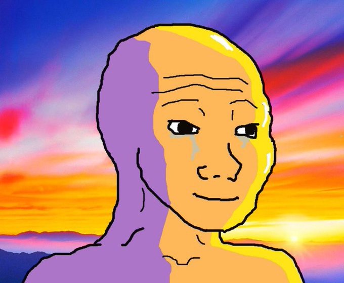 A cartoon-style drawing of a bald figure with a tear on its cheek against a sunset background, in the distinctive 'Wojak' meme art style.