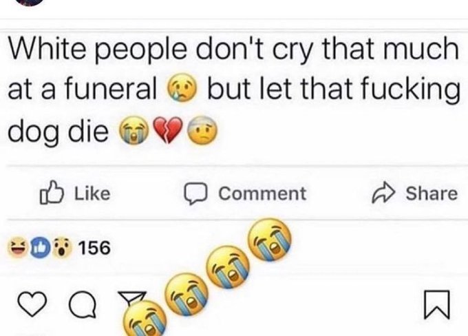 A screenshot of a social media post stating 'White people don't cry that much at a funeral 😢 but let that fucking dog die 😭💔😩' with 156 reactions and a flood of crying emojis in the comments.