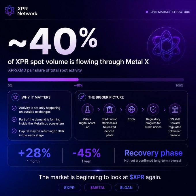 An infographic about XPR Network stating '~40% of XPR spot volume is flowing through Metal X,' with sections on 'Why It Matters' and 'The Bigger Picture,' plus stats of +28% 1 month, -45% 1 year, and 'Recovery phase.'