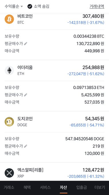 A Korean-language cryptocurrency portfolio screen showing significant losses across Bitcoin (-31.67%), Ethereum (-51.62%), Dogecoin (-54.71%), and XRP (-61.32%) with holdings and average purchase prices listed.