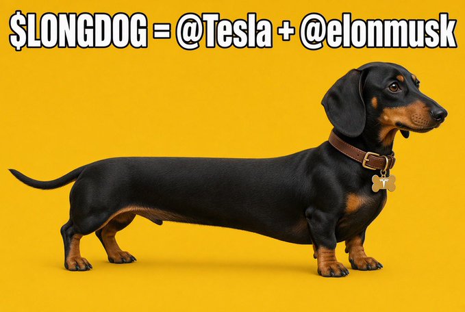 The image shows a black and tan dachshund on a yellow background with the text "$LONGDOG = @Tesla + @elonmusk" at the top. The caption highlights that $LONGDOG is a meme token on long.xyz designed as a "dog pair" for Tesla and Elon Musk, mirroring the promotional playbook previously used for $MOO.