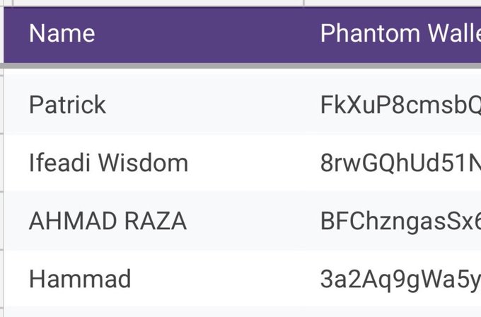 The image shows a table with columns for "Name" and "Phantom Walle[t]" containing entries for Patrick, Ifeadi Wisdom, AHMAD RAZA, and Hammad along with their truncated Solana wallet addresses, serving as evidence of participants who have submitted their wallets for the memecoin project and airdrop mentioned in the post.