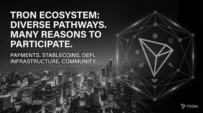 A Tron cryptocurrency promotional graphic with the headline 'TRON ECOSYSTEM: DIVERSE PATHWAYS. MANY REASONS TO PARTICIPATE.' and text listing 'PAYMENTS. STABLECOINS. DEFI. INFRASTRUCTURE. COMMUNITY.' over a black-and-white cityscape with the TRON logo.