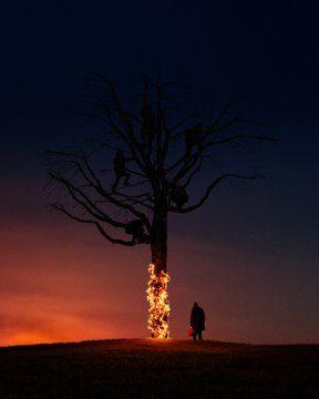 A dark silhouette of a leafless tree at twilight with figures climbing in its branches and another standing near its base, set against a sunset sky with the sun glowing on the horizon.