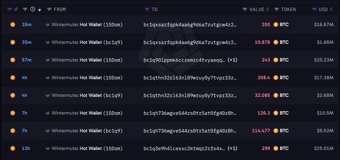 A cryptocurrency transaction tracking table displays 8 recent BTC transfers from Wintermute "Hot Wallet" addresses over the past 12 hours, with amounts ranging from 19.878 to 299 BTC (approximately $1.66M to $25.01M USD), supporting the post's claim of a whale accumulating 1,162 BTC ($96.77M) through multiple newly created receiving wallets.