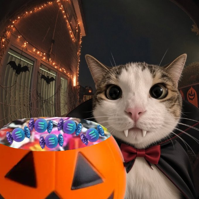 A Halloween-themed image of a wide-eyed cat wearing a vampire cape and fangs, positioned next to a jack-o'-lantern bucket filled with Solana cryptocurrency coins.