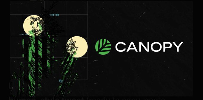 The image features a dark, atmospheric banner for "CANOPY" with a green leaf logo, set against a backdrop of silhouetted palm trees and twin moons. This visual aligns with the post praising the Canopy Network testnet's polished design and user-friendly experience when claiming testnet $CNPY tokens.