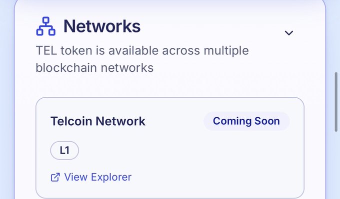 A user interface section titled 'Networks' states 'TEL token is available across multiple blockchain networks,' listing 'Telcoin Network' as 'L1' with a 'Coming Soon' badge and a 'View Explorer' link.
