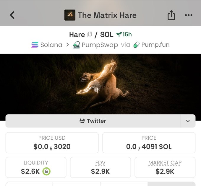 A crypto trading screenshot showing "The Matrix Hare" (Hare/SOL) token on PumpSwap via Pump.fun, priced at $0.03020 (0.074091 SOL) with $2.6K liquidity and $2.9K market cap. The accompanying post's contract address matches, suggesting the user is commenting on this newly launched memecoin featuring a hare being grabbed by a dog.