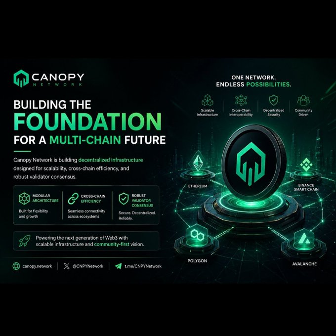 A promotional graphic for Canopy Network (@CNPYNetwork) titled 'Building the Foundation for a Multi-Chain Future,' showcasing their decentralized infrastructure connecting Ethereum, Polygon, Avalanche, and Binance Smart Chain with features like scalable infrastructure and cross-chain interoperability.