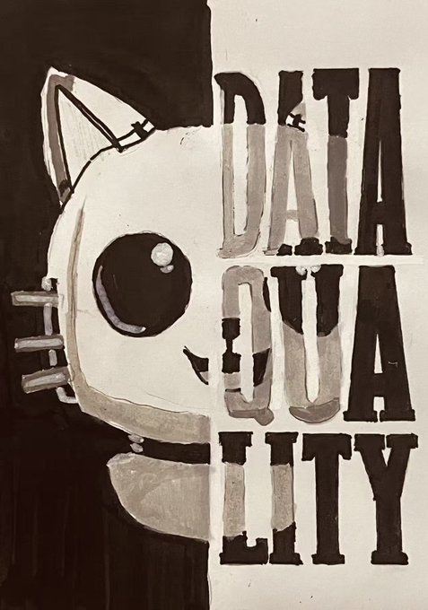 The image features a black and white cat illustration with the words "Data Quality" written above and below it, indicating that the content of the image is related to data quality management. The cat's face is prominently displayed, making it an eye-catching element in the composition.