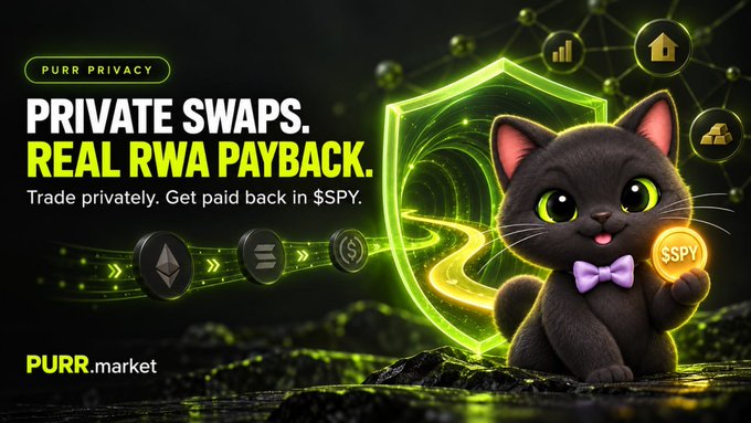 An advertisement for PURR Privacy featuring a cartoon cat holding a $SPY coin, promoting private swaps and real RWA payback at PURR.market.