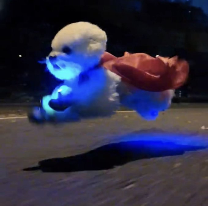 A fluffy white teddy bear wearing a red cape leaps through the air while illuminated by blue lights against a dark background.