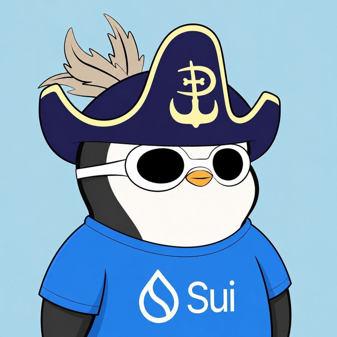 A cartoon illustration of a penguin mascot wearing round sunglasses, a blue t-shirt with the 'Sui' logo, and a pirate hat featuring a cross-like emblem and feathers, set against a light blue background.
