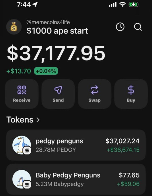 Mobile screenshot of a crypto wallet app showing an account '@memecoins4life' with $1000 ape start, displaying a balance of $37,177.95 (+$13.70, +0.04%) and holdings in 'pedgy penguns' PENGY token worth $37,027.24 and 'Baby Pedgy Penguns' BABYPEDGY worth $77.65.
