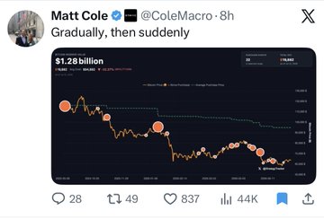 A tweet from Matt Cole (@ColeMacro) captioned "Gradually, then suddenly" displays a dark-themed chart showing $1.28 billion in Bitcoin holdings, with a downward price trend line and annotations indicating recent purchases by Strive and Strategy Holdings, supporting the post's announcement that Strive Asset Management is aggressively accumulating Bitcoin during the bear market.