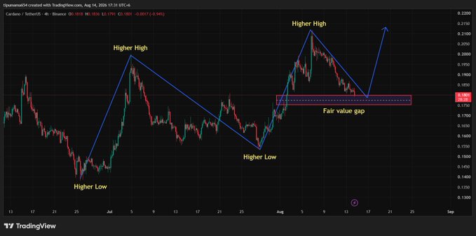 A TradingView candlestick chart for Cardano/Tether on Binance showing price action from late June to early August, with annotations marking "Higher Low," "Higher High," and a "Fair value gap" box.