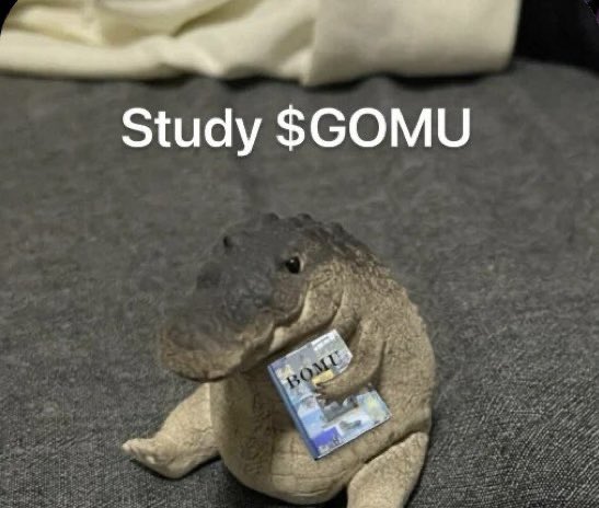 A plush stuffed animal (appears to be a dinosaur/dragon) holding a 'BOMU' book, with text overlay 'Study $GOMU' on a gray background.