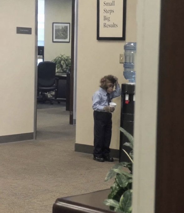 A small person standing by a water cooler in an office hallway, holding a coffee cup and scratching their head, with a framed "Small Steps Big Results" sign on the wall.