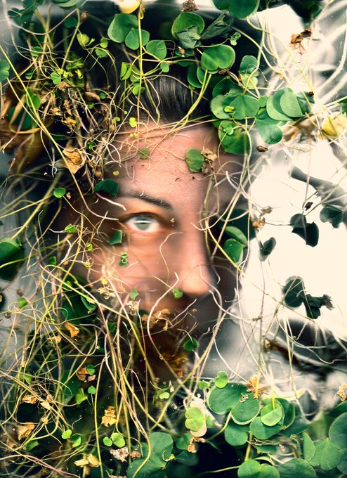 A man's face peers through a tangle of green vines and leaves, his features partially obscured by the foliage that frames him like a natural mask. The earthy, organic image evokes a sense of being intertwined with nature, fitting the surreal and nature-inspired aesthetic of the Tezos Tuesday NFT collection on Objkt.