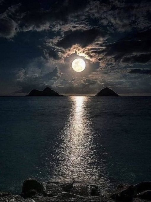 A full moon illuminates a tranquil nighttime seascape, casting a shimmering silver reflection across calm waters between two silhouetted islands.

The serene moonlit ocean mirrors the post's themes of steady, natural growth—much like how $RIVER thrives through consistent participation and Tria smooths out cross-chain friction, the moonlight effortlessly bridges the sea and sky in a quiet, unhurried glow.