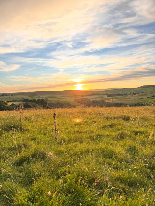 A scenic landscape photograph of a grassy field at sunset, with rolling green hills in the distance under a partly cloudy sky.