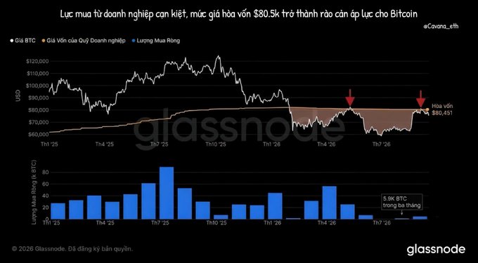 Glassnode chart titled in Vietnamese showing Bitcoin realized loss has turned into realized gain, with cost basis around $80.5k becoming resistance.