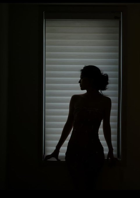 A silhouetted woman stands in profile before a window with closed blinds, her dark form contrasting against the muted light behind her. The image evokes themes of secrecy and whispered rumors, mirroring the post's message about unsubstantiated claims regarding Brother Sun and HTX Global spreading in the shadows.