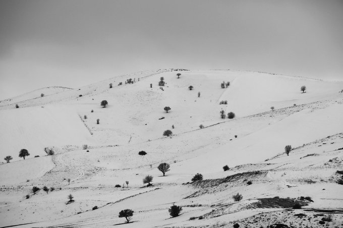A black and white photograph of a snow-covered hillside with scattered, bare trees under an overcast sky.