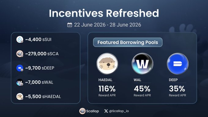The text above an image says, "ICYMI: Weekly Scallop incentives have been refreshed! Start earning on @Scallop_io ... [SCA] #SUI". This suggests that a user should head over to the app's webpage at www.scallop.io/referral for more information and potential opportunities to earn incentives.