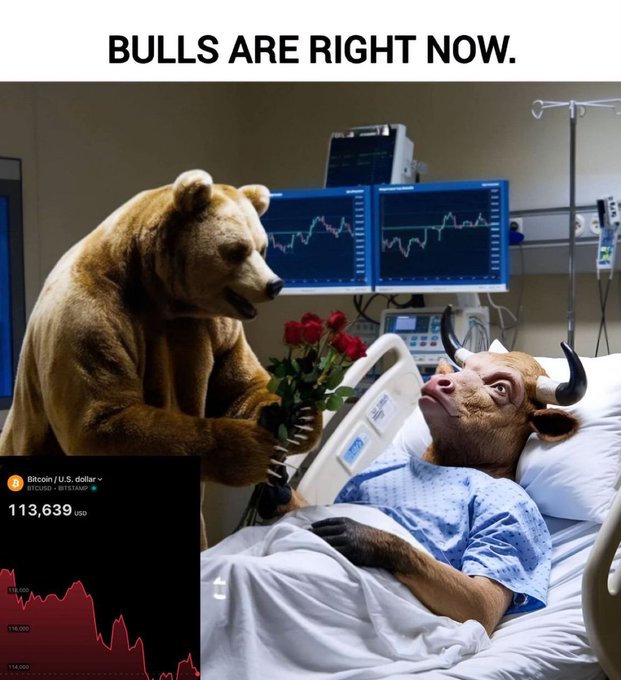 A meme showing a bull lying in a hospital bed with an IV while a bear holds flowers next to him, with a Bitcoin price chart showing $113,639 USD on the left, and text reading 'BULLS ARE RIGHT NOW.' at the top.