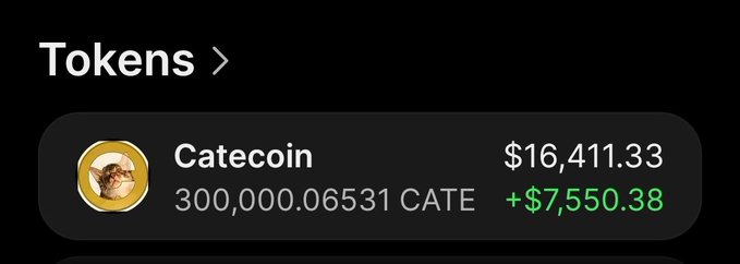 A dark-themed crypto wallet "Tokens" screen displays a CATE (Catecoin) holding of 300,000.06531 CATE valued at $16,411.33, showing a green gain of +$7,550.38 — fitting the post's "9 lives $CATE" reference by showcasing a cat-themed memecoin portfolio with significant unrealized gains.