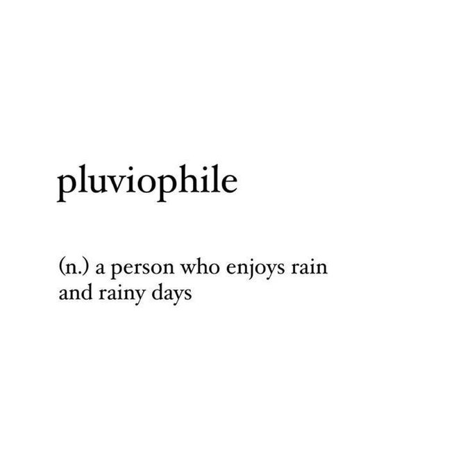 A minimalist typographic image defining the word "pluviophile" (n.) as "a person who enjoys rain and rainy days," with the context of a Seattle handle implying the poster identifies with the rainy Pacific Northwest city.