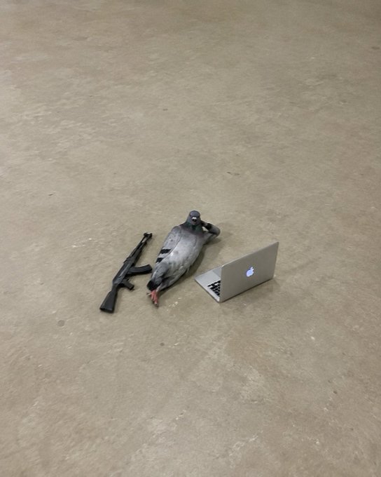 A surreal image shows a dead pigeon lying on a concrete surface next to an assault rifle and an open Apple laptop.