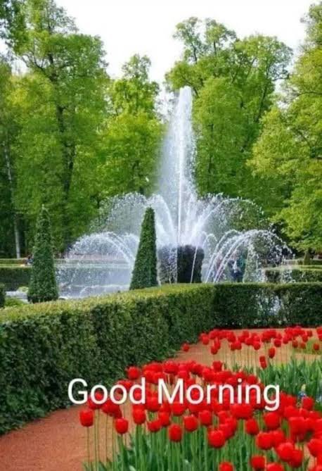 A garden scene titled "Good Morning" shows a fountain spraying water in a circular pond, bordered by manicured hedges, green trees, and a vibrant bed of red tulips in the foreground.