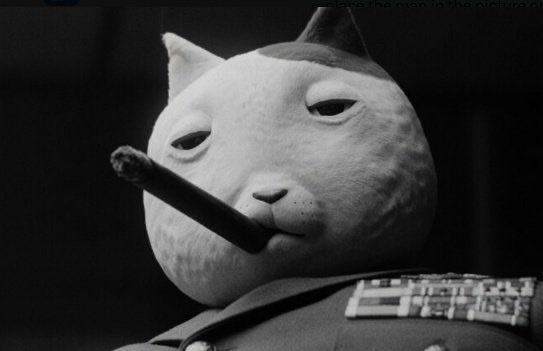 A black-and-white image shows a person in a military uniform wearing a white cat mask while smoking a cigar, with a star insignia visible on the shoulder. The caption "I was the first Europoor to install Airco. I am also the first Europoor to hold 1% of Ket. Follow me for more alpha" humorously pairs the "first Europoor" boast with the cat persona, suggesting a meme about being an early adopter or leader in crypto/tech trends.