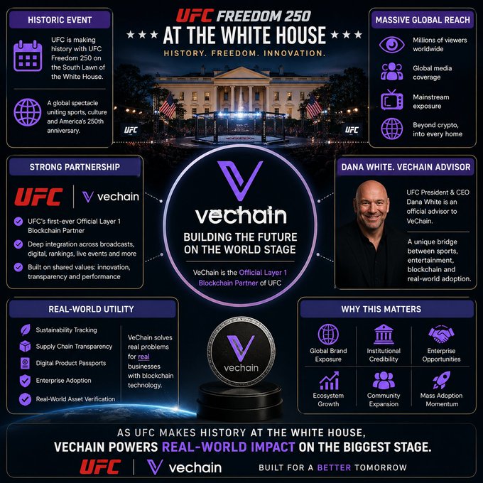 The image features a large poster with a man smiling at the bottom, who appears to be the creator of VET Chain. The poster includes various text elements related to the company's name, mission statement, and its impact on the world stage. It also highlights the company's commitment to sustainability and web3 technology.