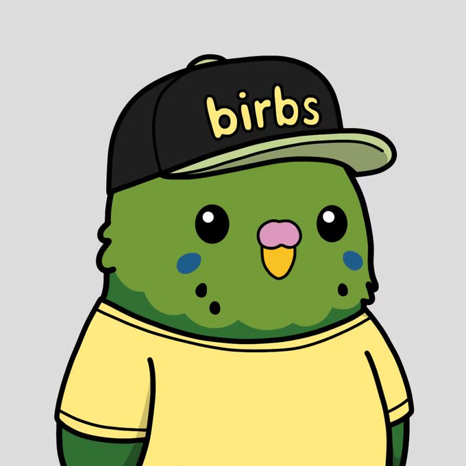A cartoon illustration of a green bird character wearing a black cap with 'birbs' written on it and a yellow t-shirt.