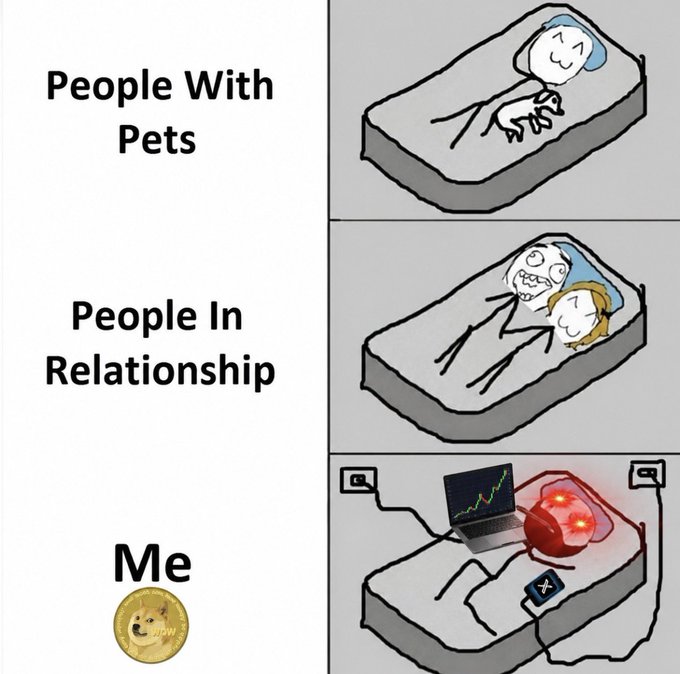 A meme comparing sleeping arrangements: 'People With Pets' sleep peacefully with a pet, 'People In Relationship' share the bed restlessly, while 'Me' is depicted as a doge coin alone with a gaming PC and RGB lights.